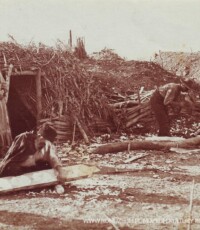 Wytwórcy koryt, Roma Coritari, Caliofix-Postkarte D.R.P.176323, bez