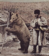 Ursari, Niedźwiednicy (Rumunia), Stengel & Co., Dresden 55398, bez obiegu, circa 1915